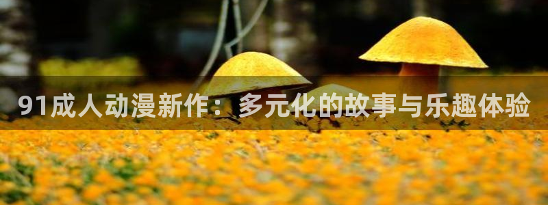 51动漫官网.：91成人动漫新作：多元化的故事与乐趣体验