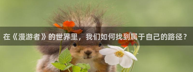 51动漫免费网站入口：在《漫游者》的世界里，我们如何找到属于自己的路径？