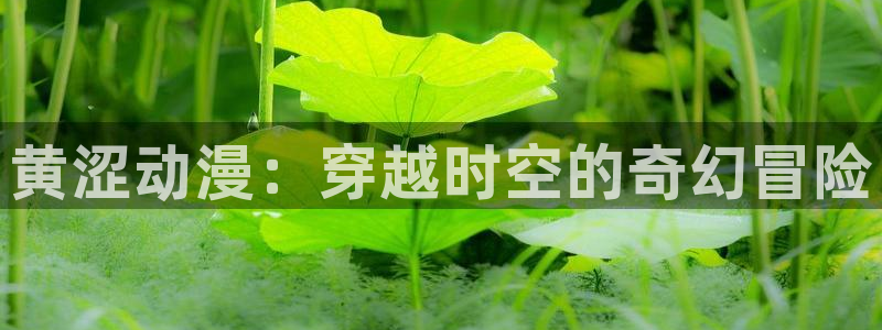 真51动漫：黄涩动漫：穿越时空的奇幻冒险