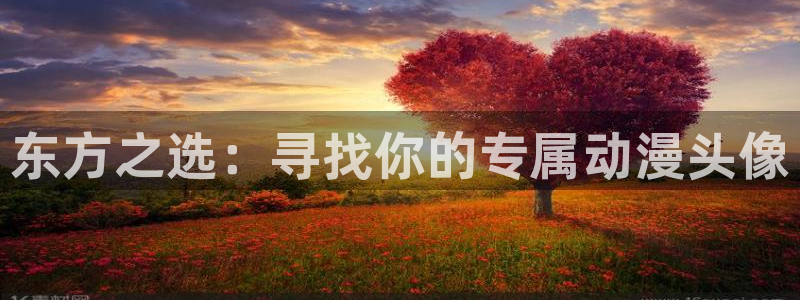 51动漫网站首页：东方之选：寻找你的专属动漫头像